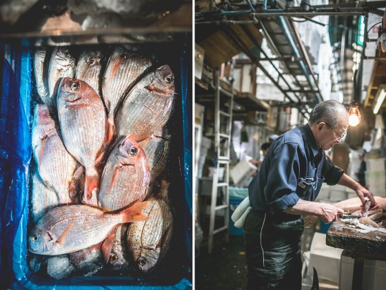 Tsujiki Fish Market, Tokyo, Japan | un-fold-ed.com